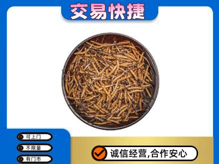 湛江市雷州礼品回收虫草.jpg